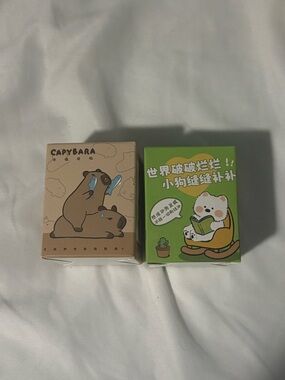 Capybara Cartoon Blind boxes (2) - Brown & Green Cute Packaging